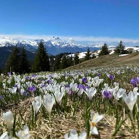 Chalet Apartment- Hottub, Garden, 2 Ensuite Bathrooms, 2 Bedrooms. *