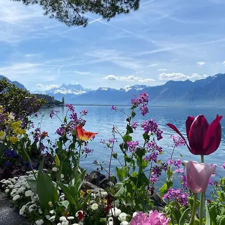 Chalet Apartment- Hottub, Garden, 2 Ensuite Bathrooms, 2 Bedrooms. 公寓